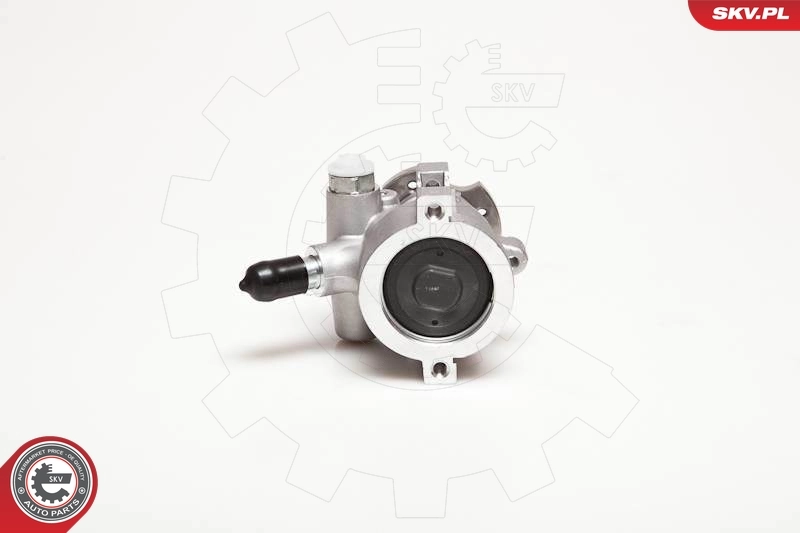 Hydraulic Pump, steering 10SKV178