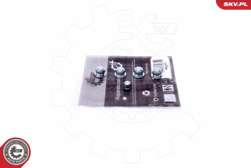 Repair Kit, intake manifold module 49SKV530