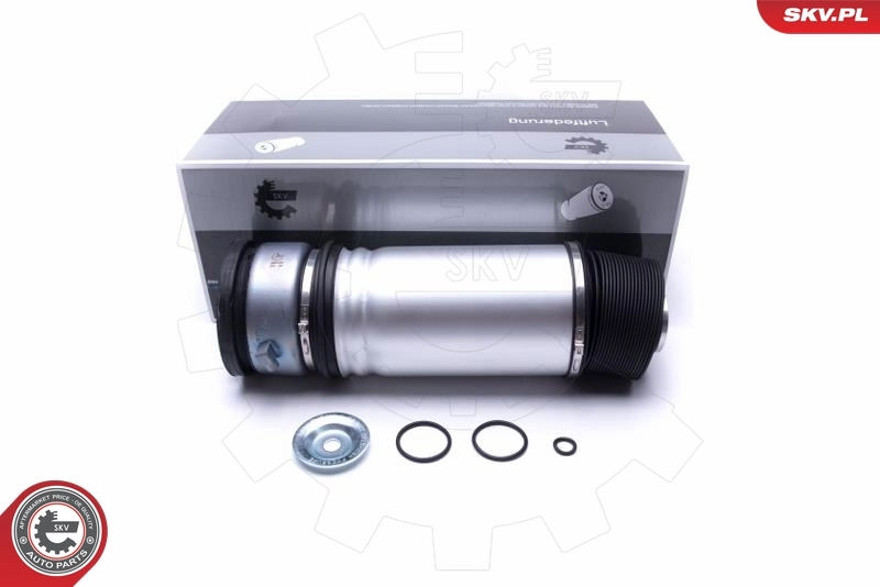 Air Suspension Strut 58SKV063