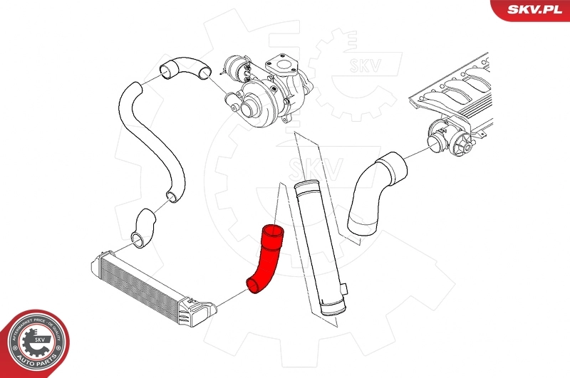Charge Air Hose 24SKV541