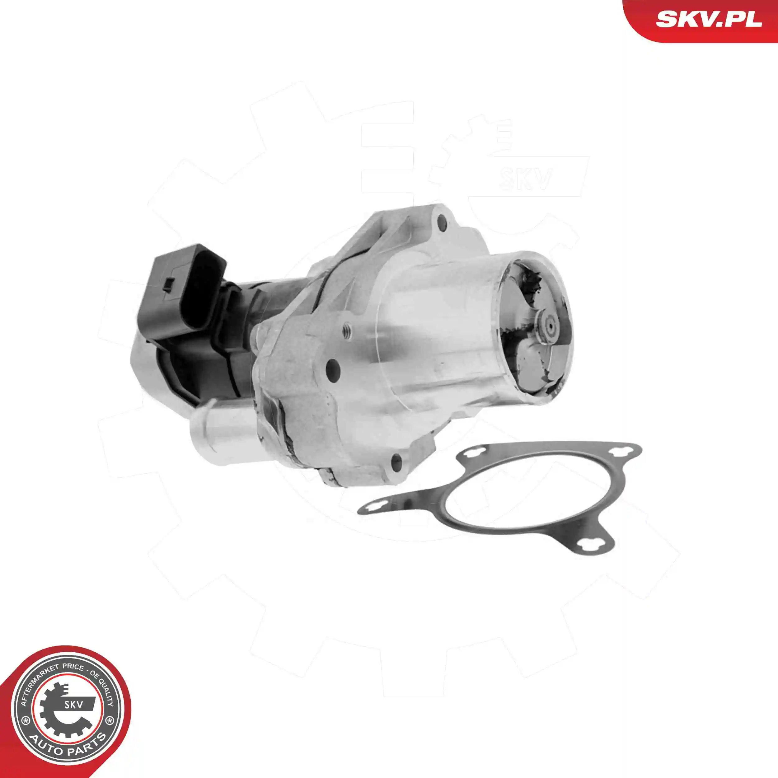 EGR Valve 14SKV304