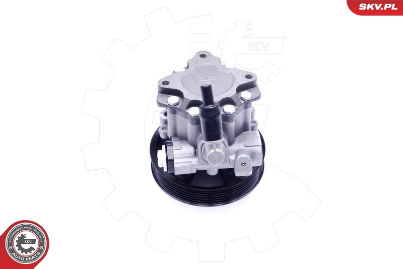 Hydraulic Pump, steering 10SKV241