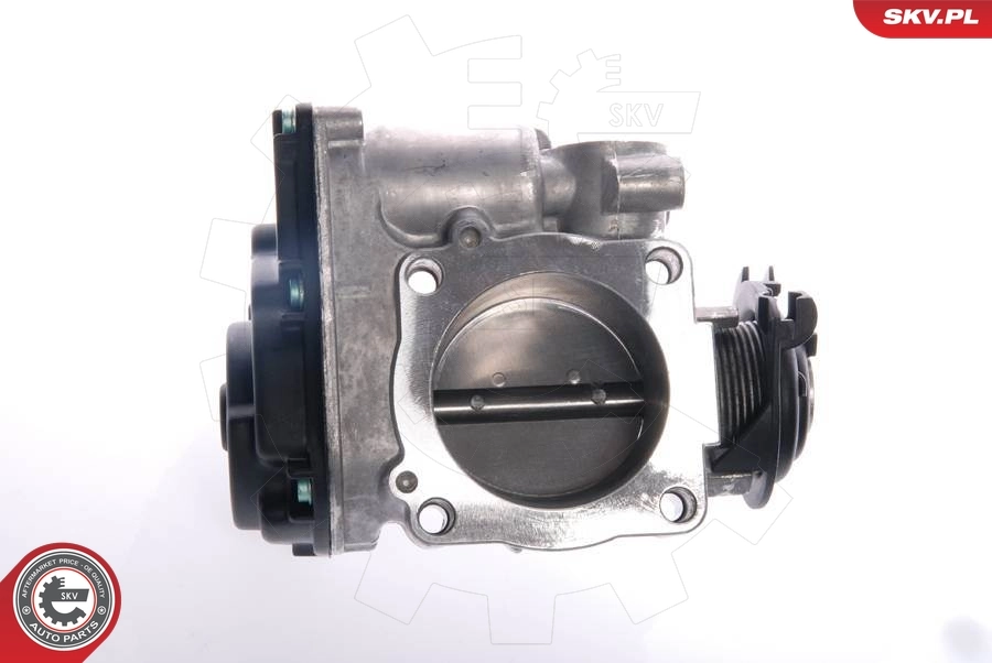 Throttle Body 12SKV013