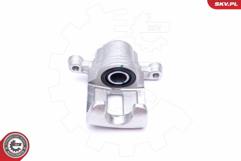 Brake Caliper 45SKV794