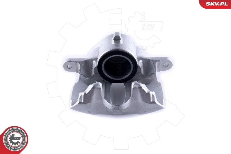 Brake Caliper 55SKV171