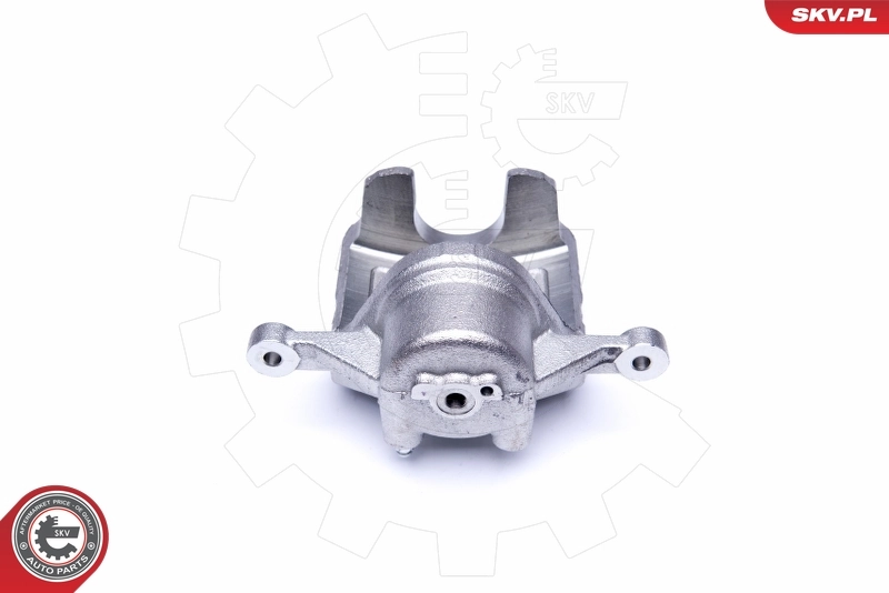 Brake Caliper 42SKV481