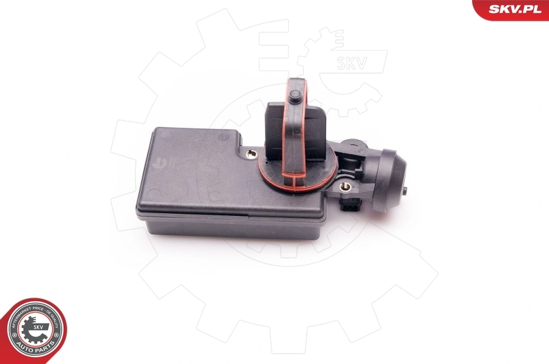 Valve, air control (intake air) 31SKV047