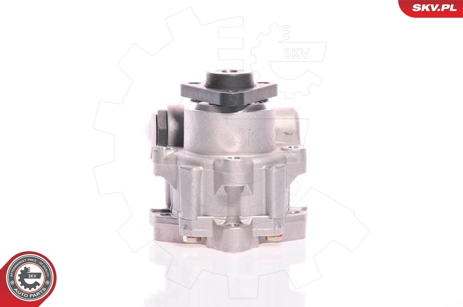 Hydraulic Pump, steering 10SKV161