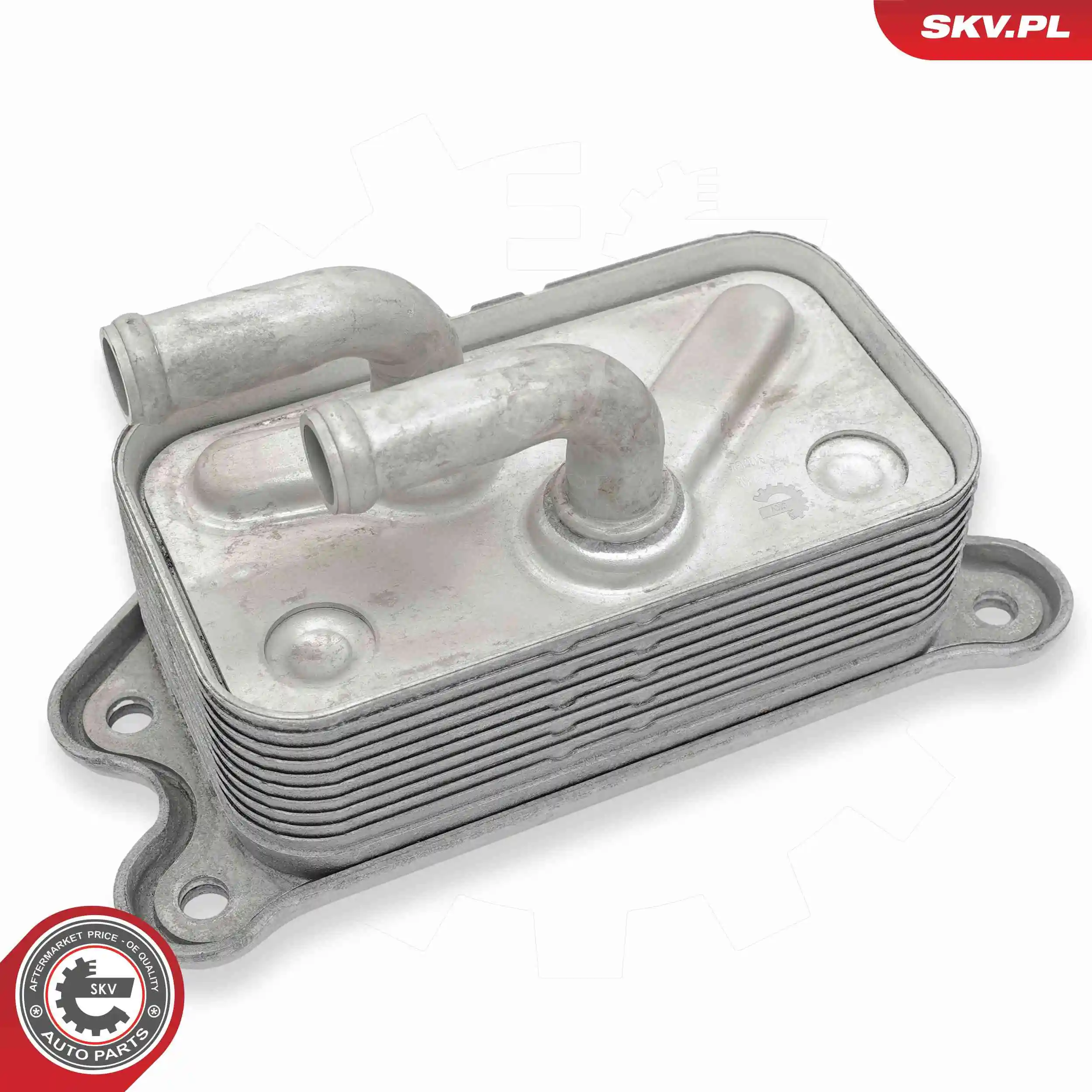 Oil Cooler, engine oil 31SKV305
