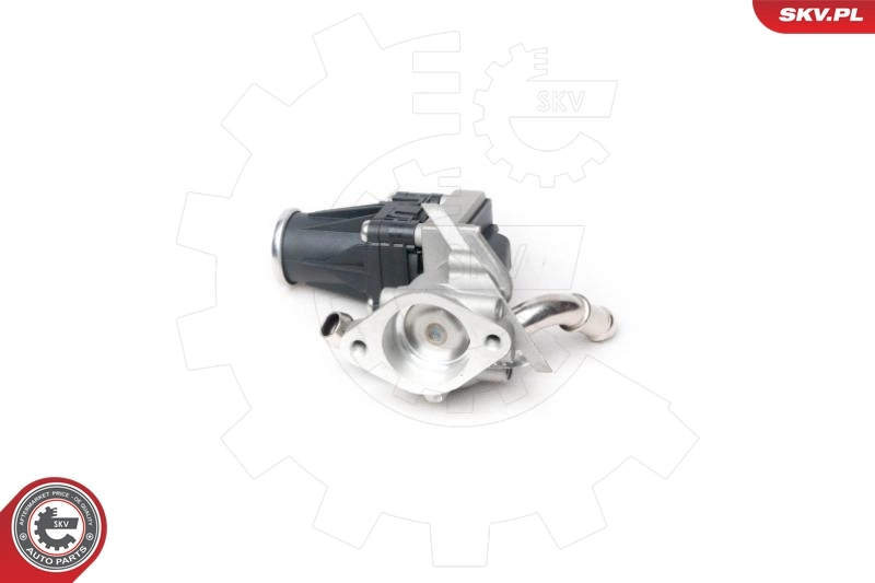 EGR Valve 14SKV100