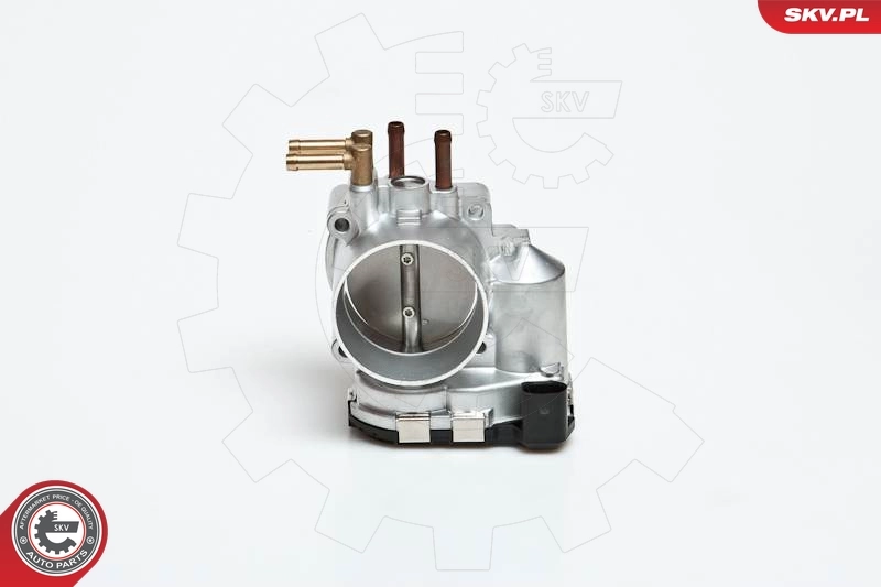 ESEN SKV 12SKV012 Throttle Body