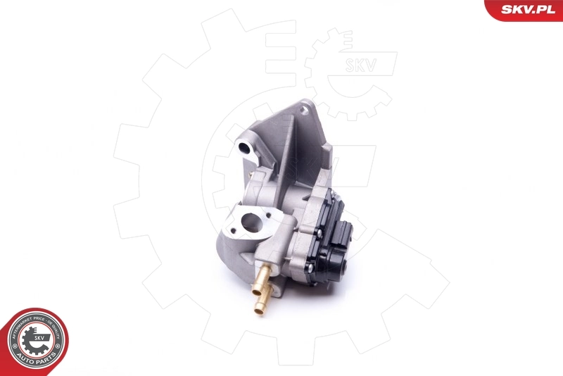 EGR Valve 14SKV087