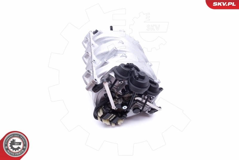 Intake Manifold Module 49SKV013