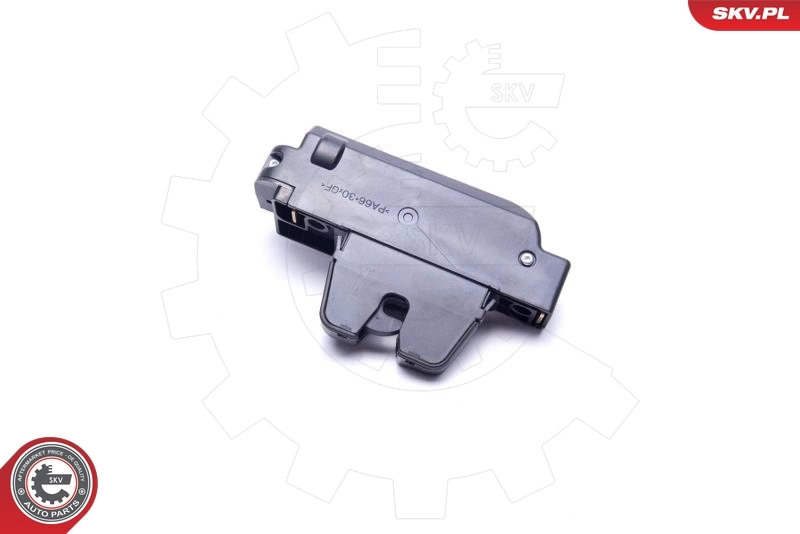 Tailgate Lock 16SKV293