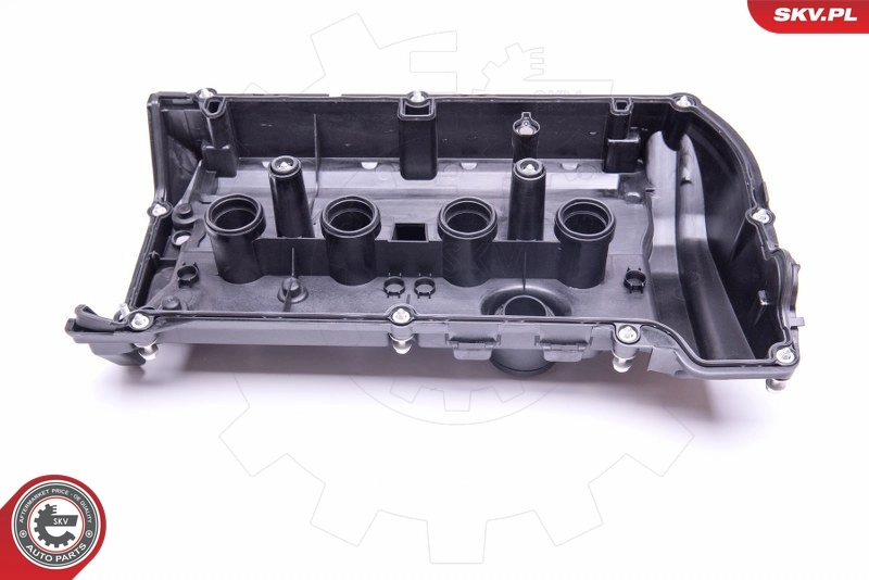 Cylinder Head Cover 48SKV017