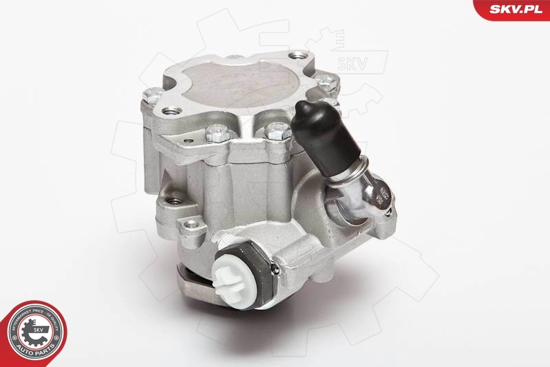 Hydraulic Pump, steering 10SKV018