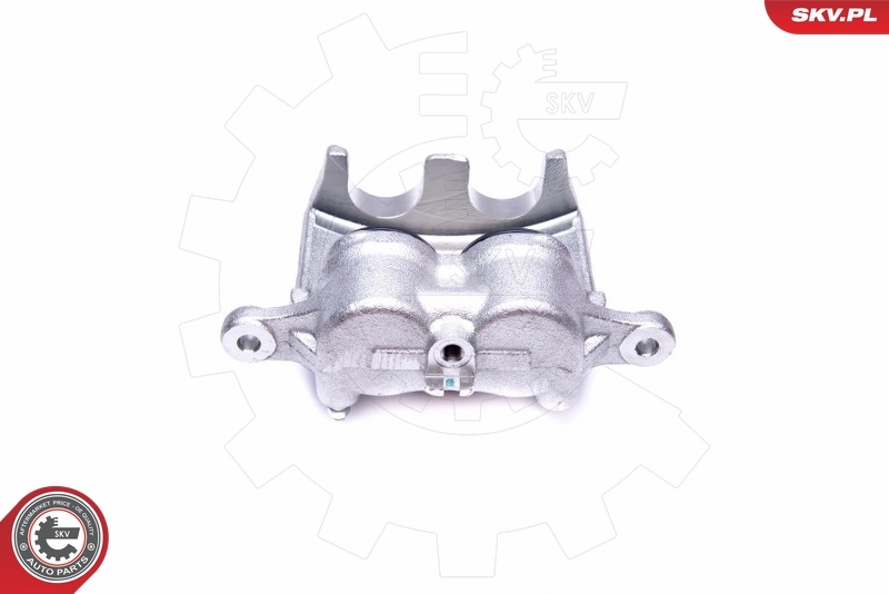 Brake Caliper 45SKV671