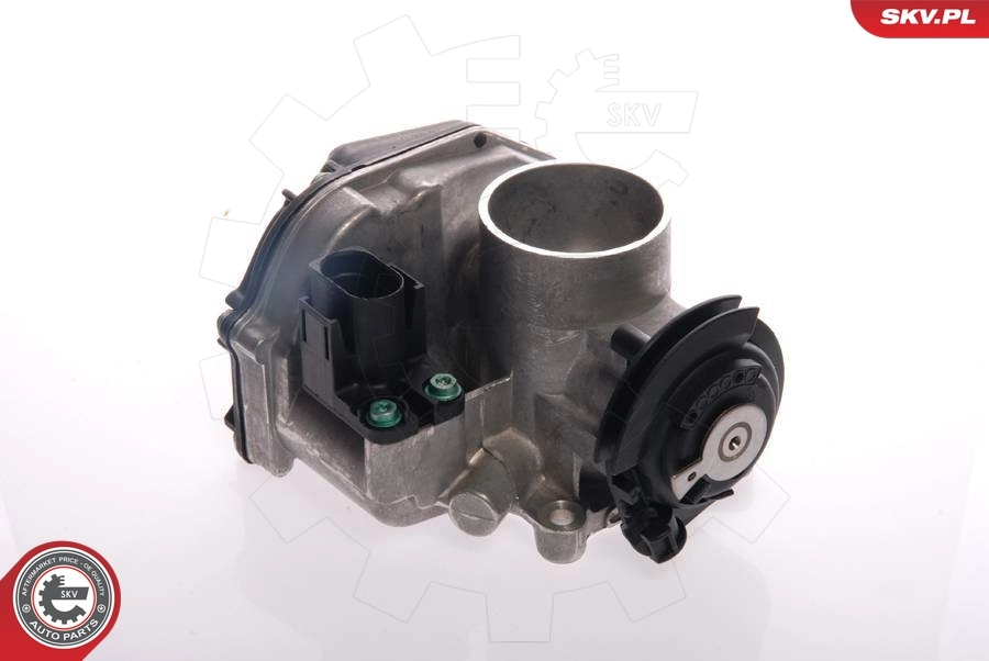 Throttle Body 12SKV024