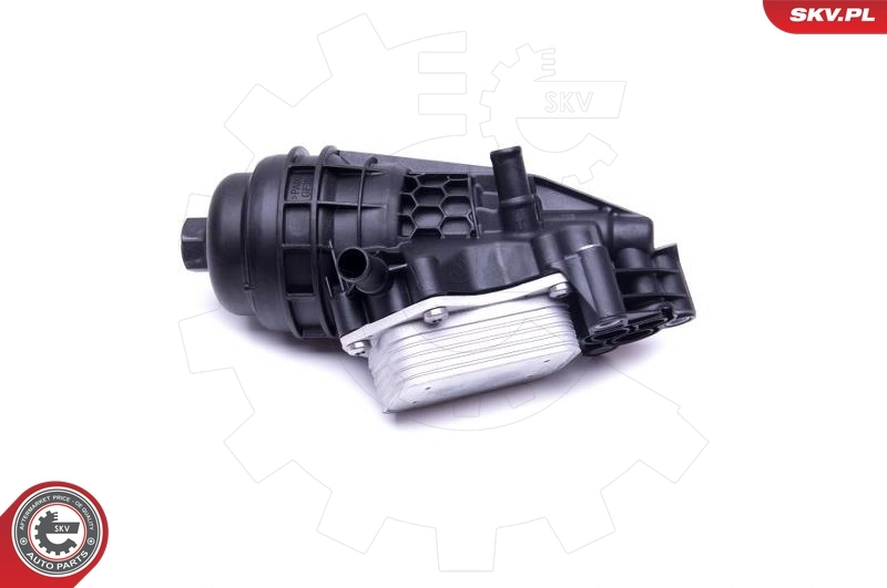 Oil Cooler, engine oil 31SKV170