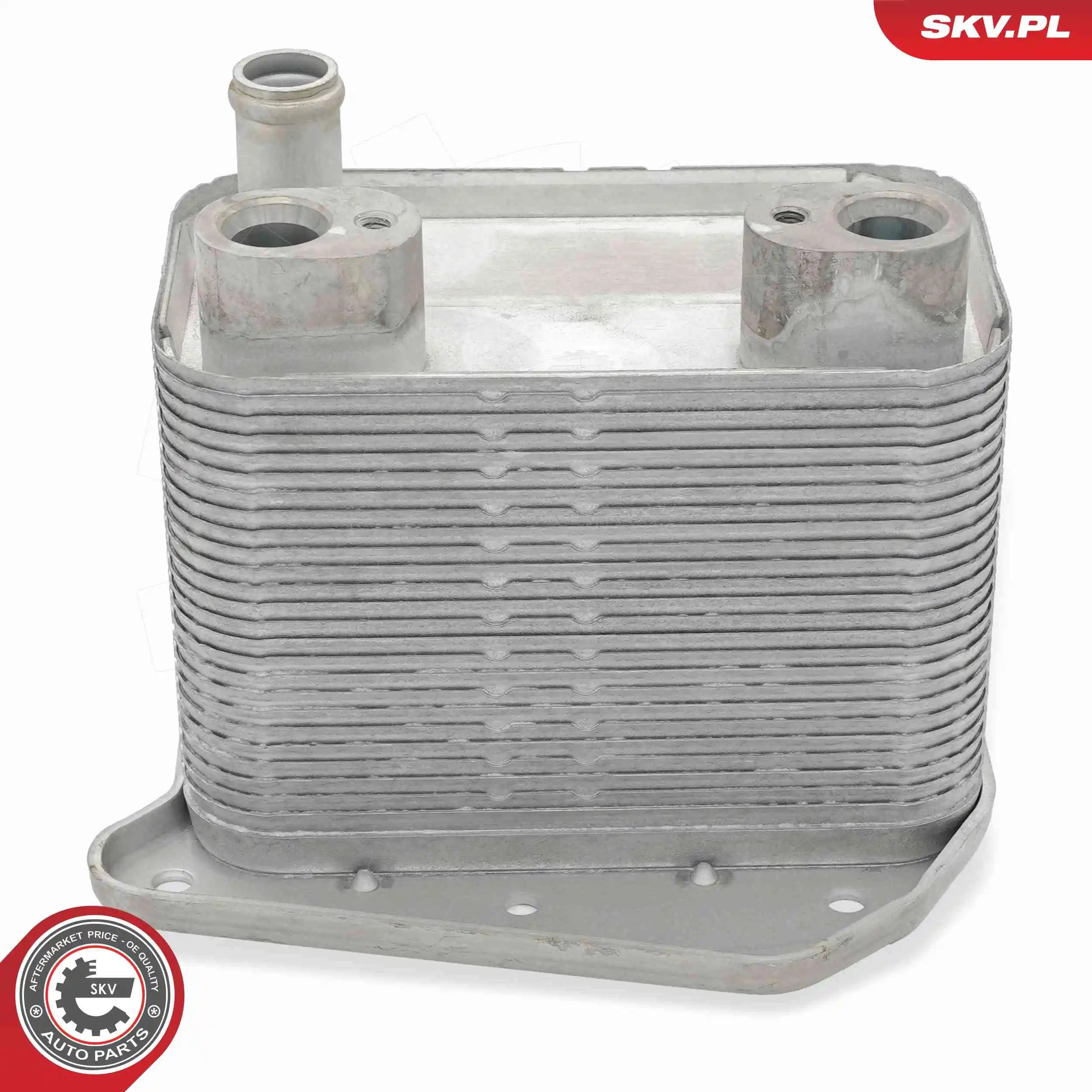Oil Cooler, engine oil 31SKV297