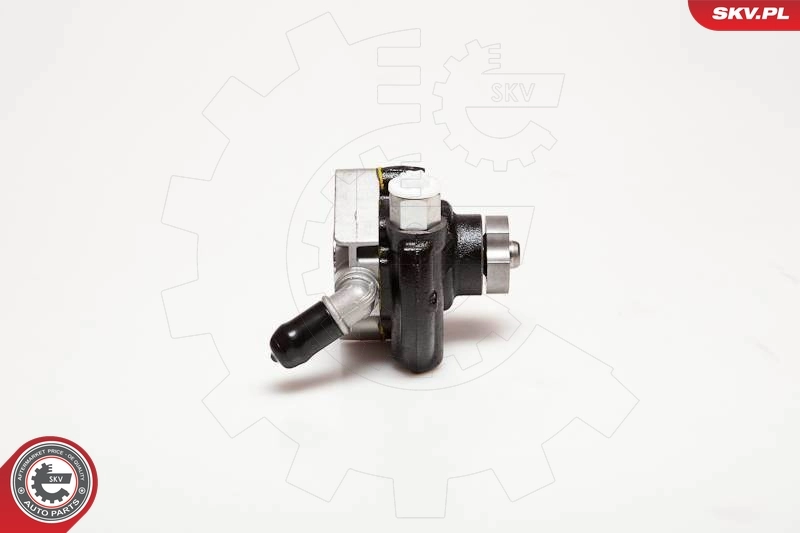 Hydraulic Pump, steering 10SKV116