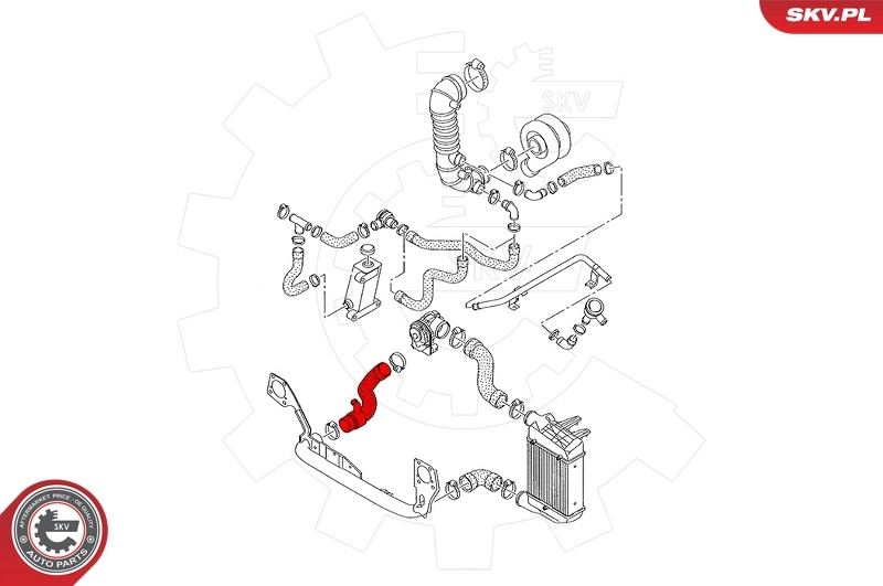 Charge Air Hose 43SKV418