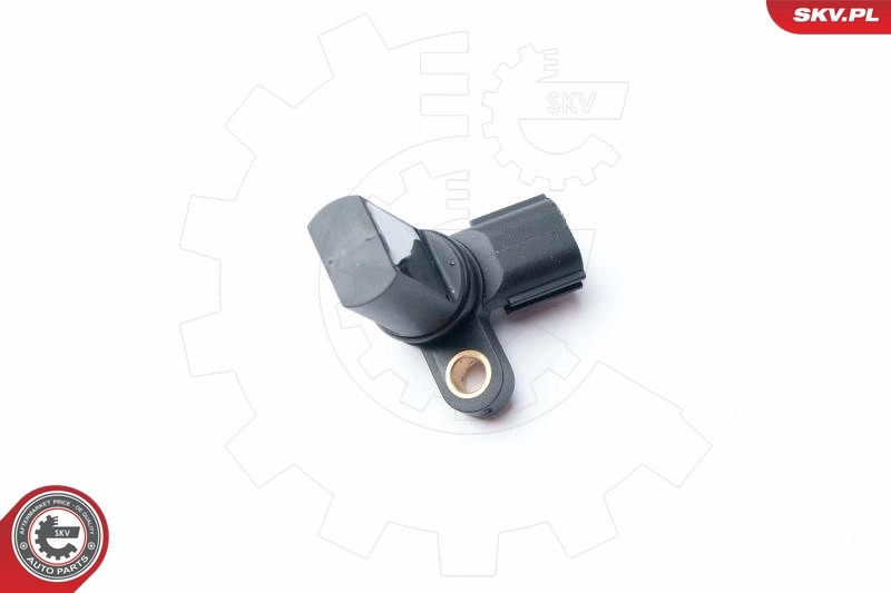 Sensor, camshaft position 17SKV254