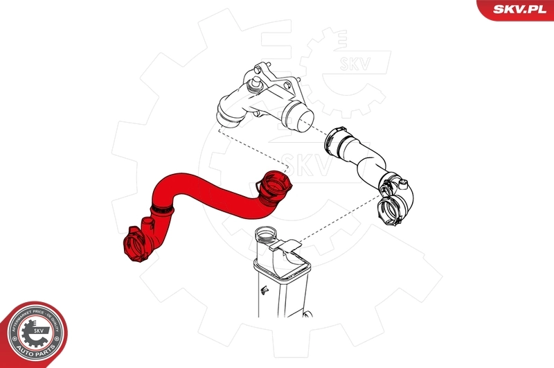 Radiator Hose 24SKV266