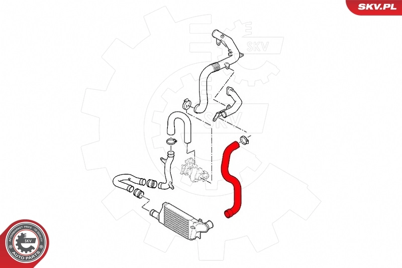 Charge Air Hose 43SKV316
