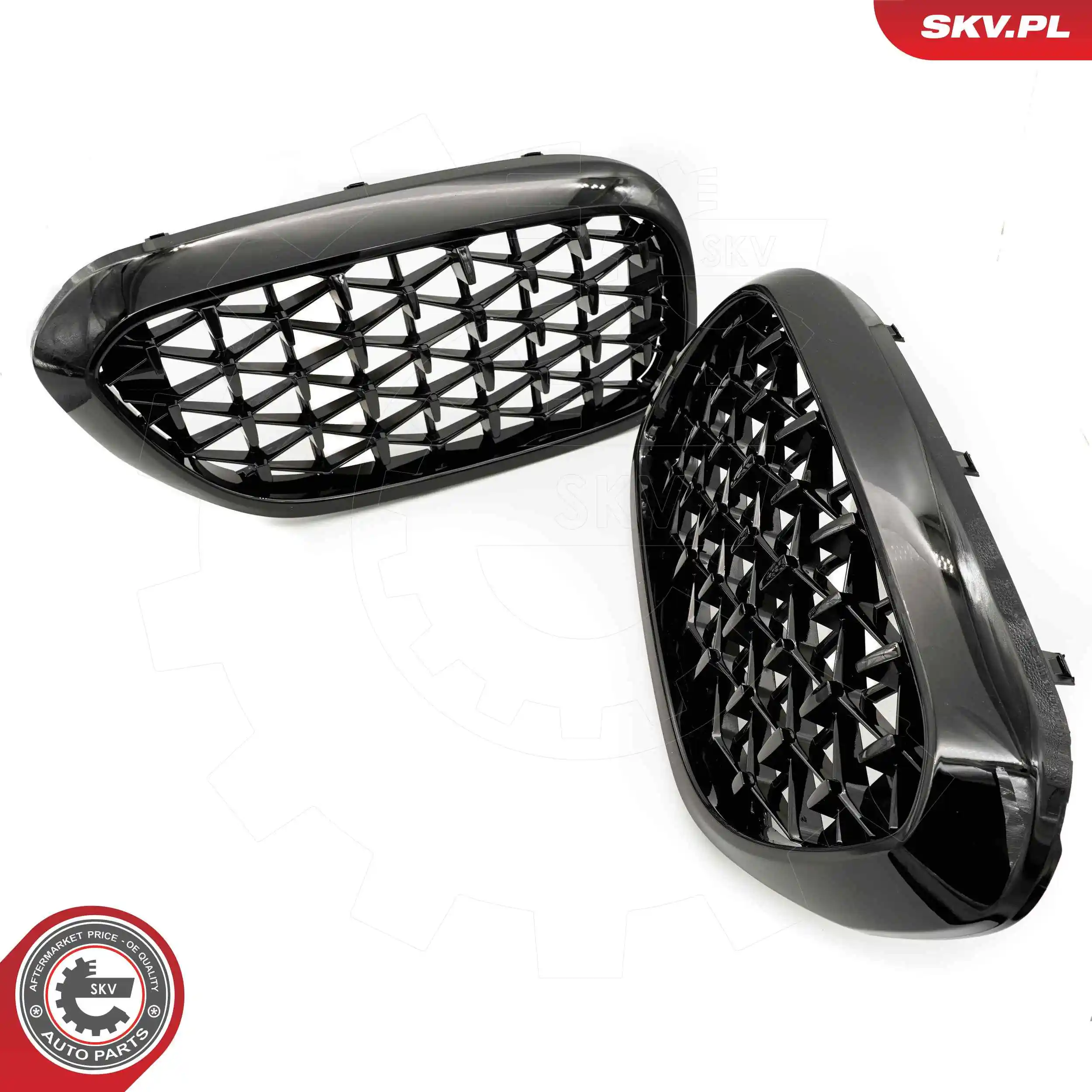 ESEN SKV 66SKV200 Radiator Grille