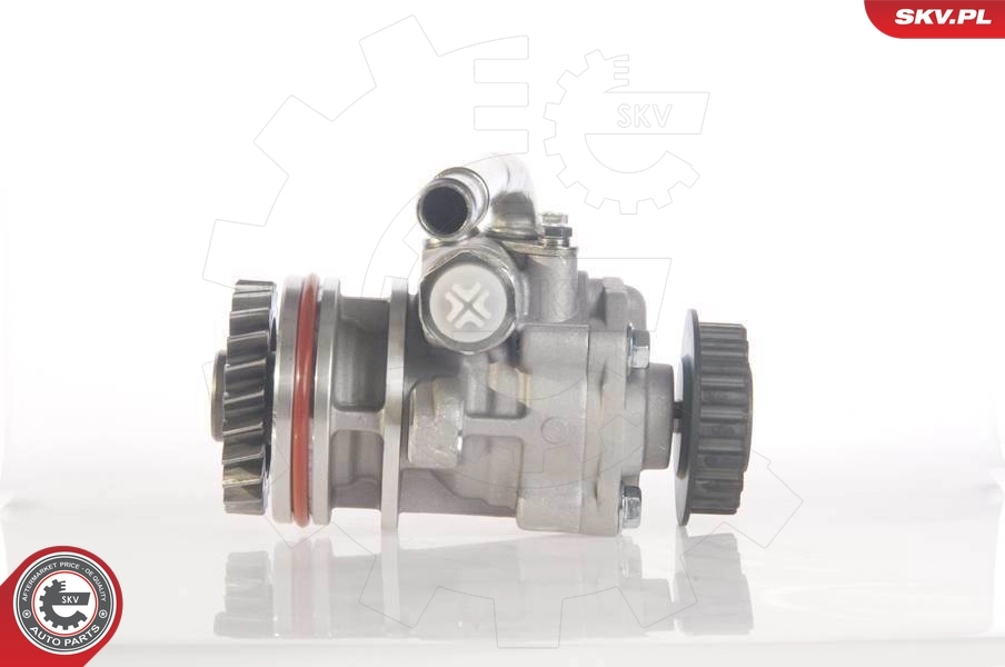 Hydraulic Pump, steering 10SKV131