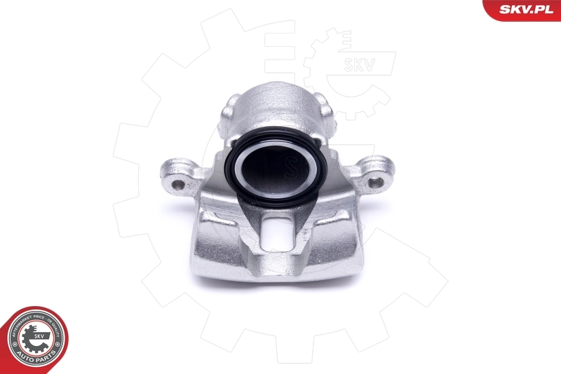 Brake Caliper 50SKV541