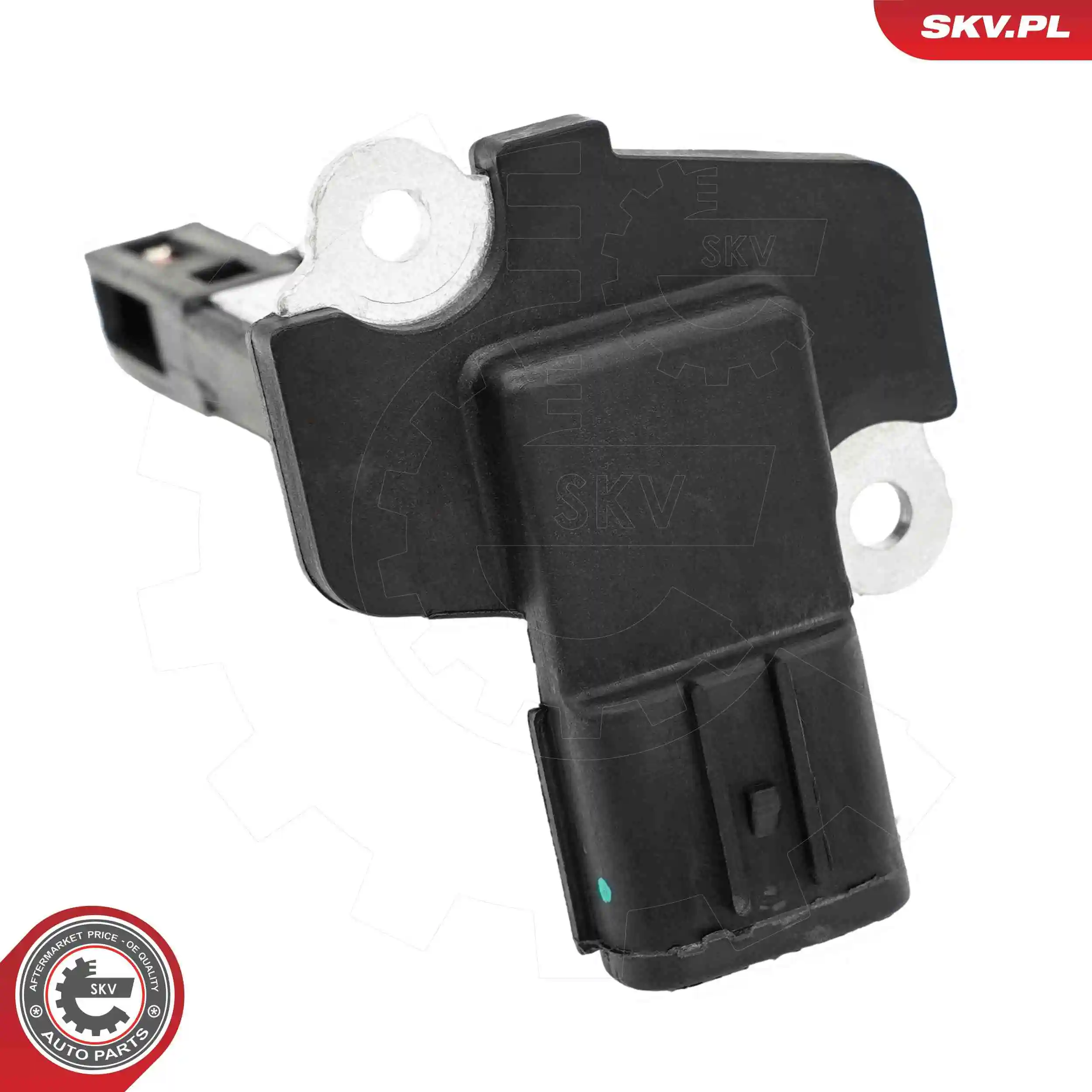 Mass Air Flow Sensor 07SKV308