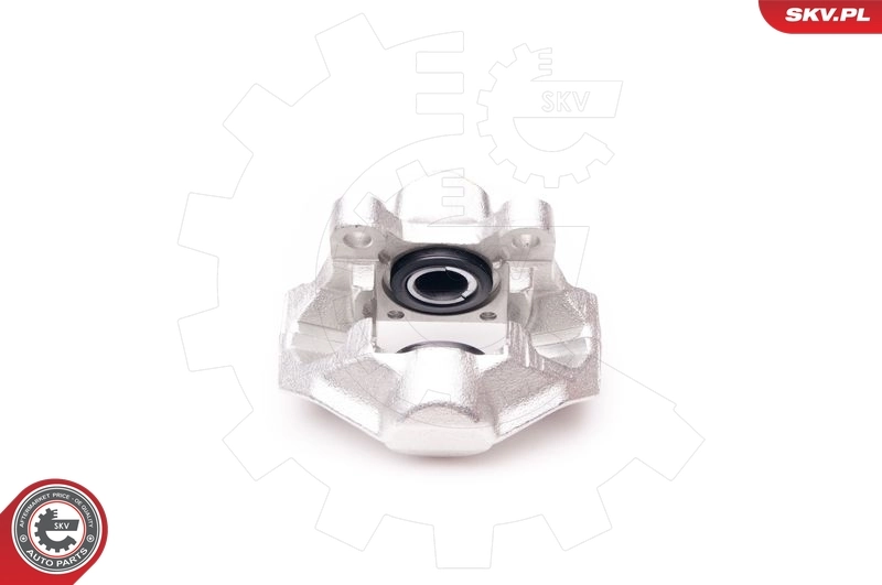 Brake Caliper 34SKV194
