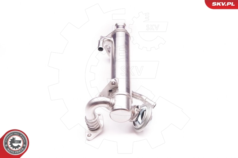 EGR Valve 14SKV122