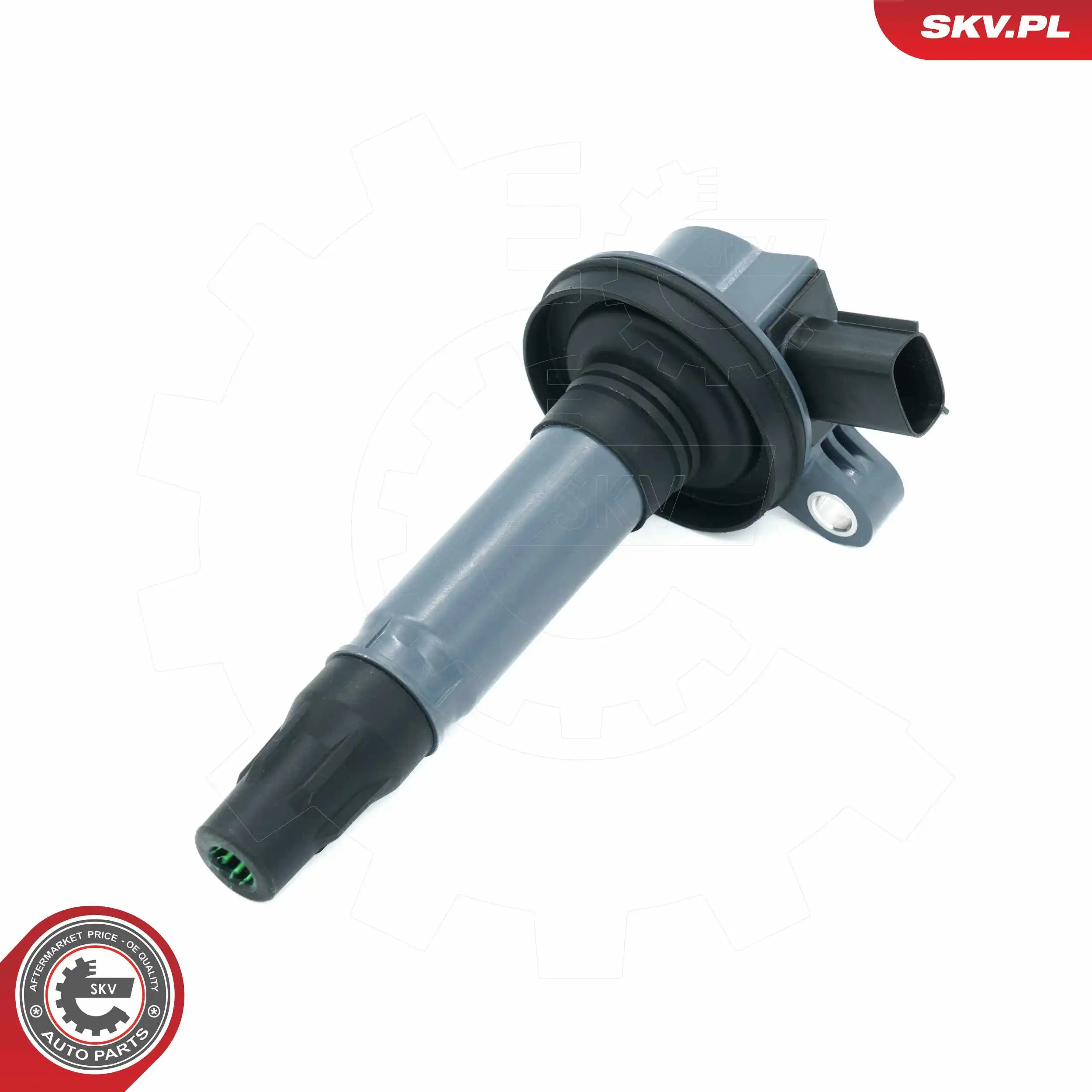 Ignition Coil 03SKV348