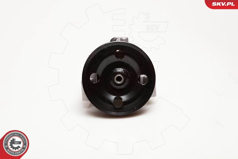 Hydraulic Pump, steering 10SKV001