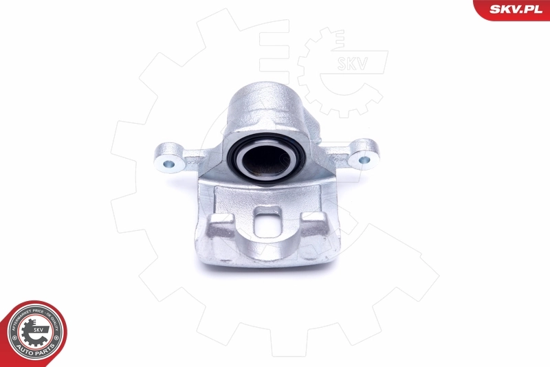 Brake Caliper 46SKV113