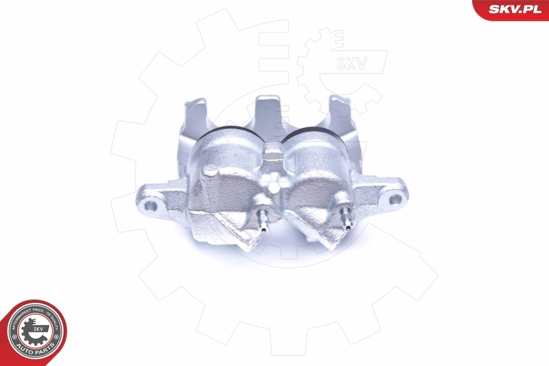 Brake Caliper 42SKV711