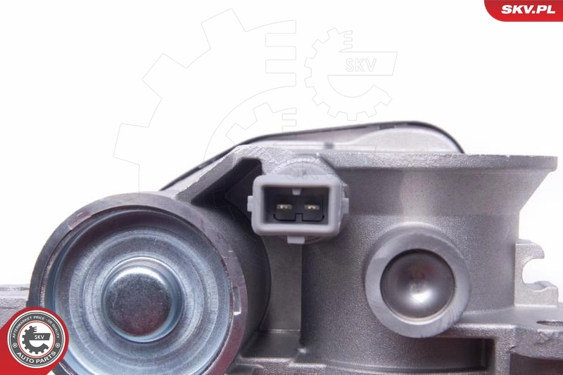 Throttle Body 12SKV102