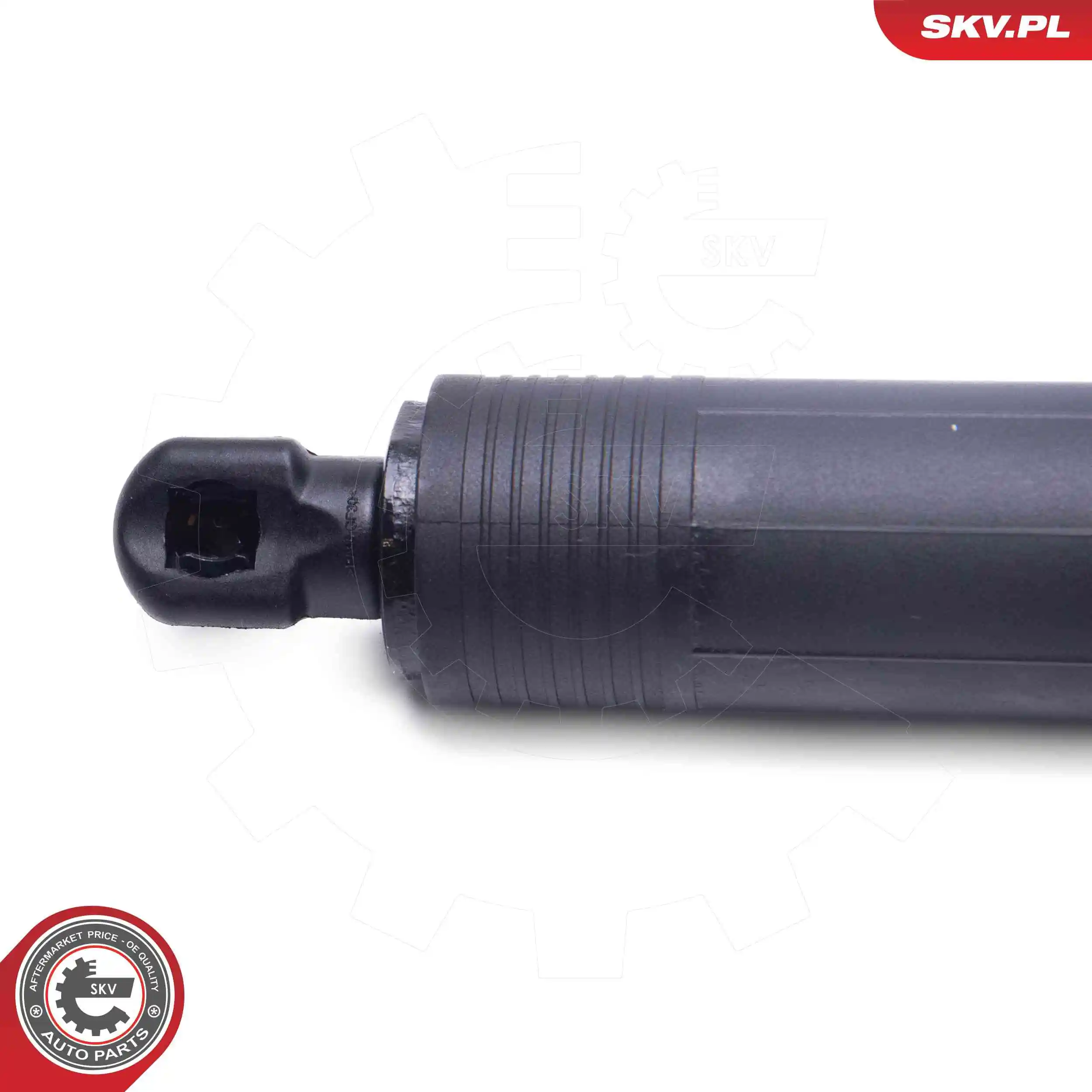 ESEN SKV 52SKV967 Electric Motor, tailgate