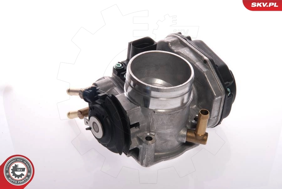 ESEN SKV 12SKV021 Throttle Body