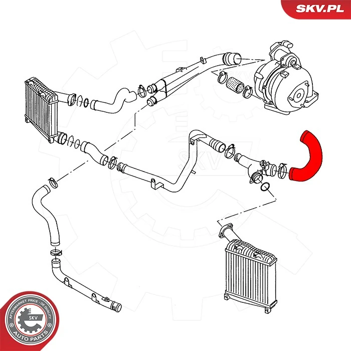 Charge Air Hose 43SKV464