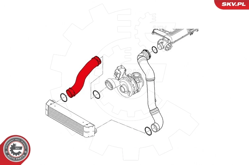 Charge Air Hose 43SKV144