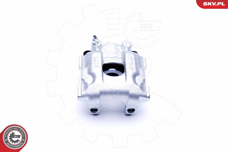 Brake Caliper 44SKV163