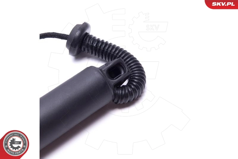 Electric Motor, tailgate 52SKV923