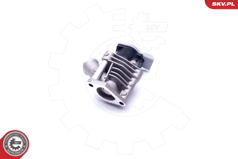 EGR Valve 14SKV173