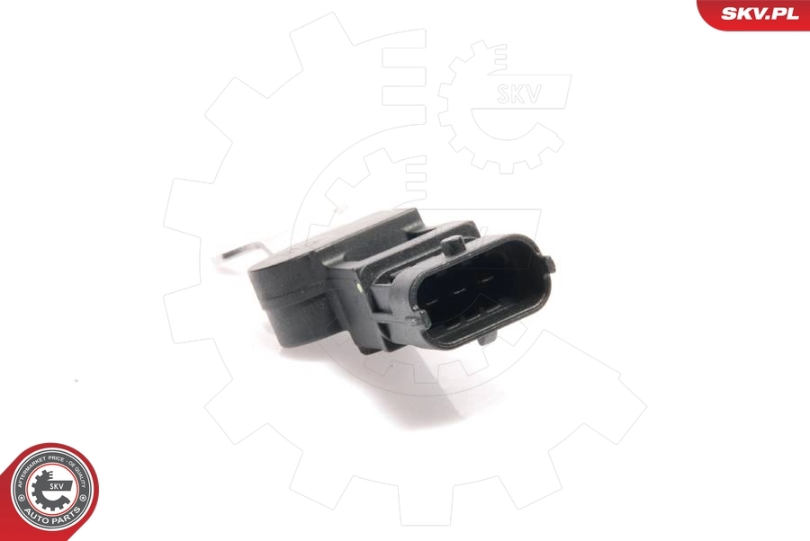 Sensor, camshaft position 17SKV230