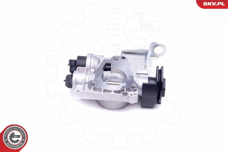 Throttle Body 12SKV081