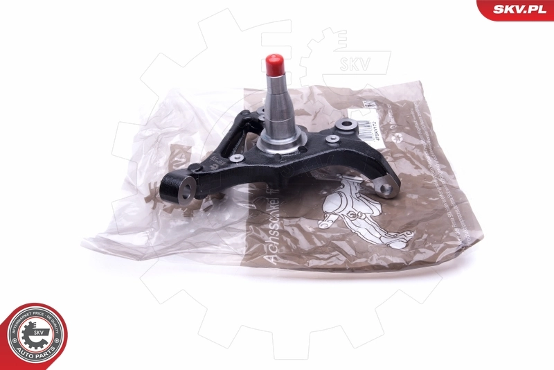 Steering Knuckle, wheel suspension 47SKV172